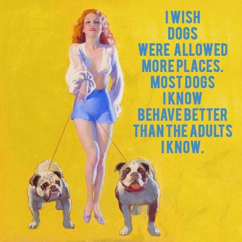 theGBbulldog's tweet photo. https://t.co/GhAS02YAZp