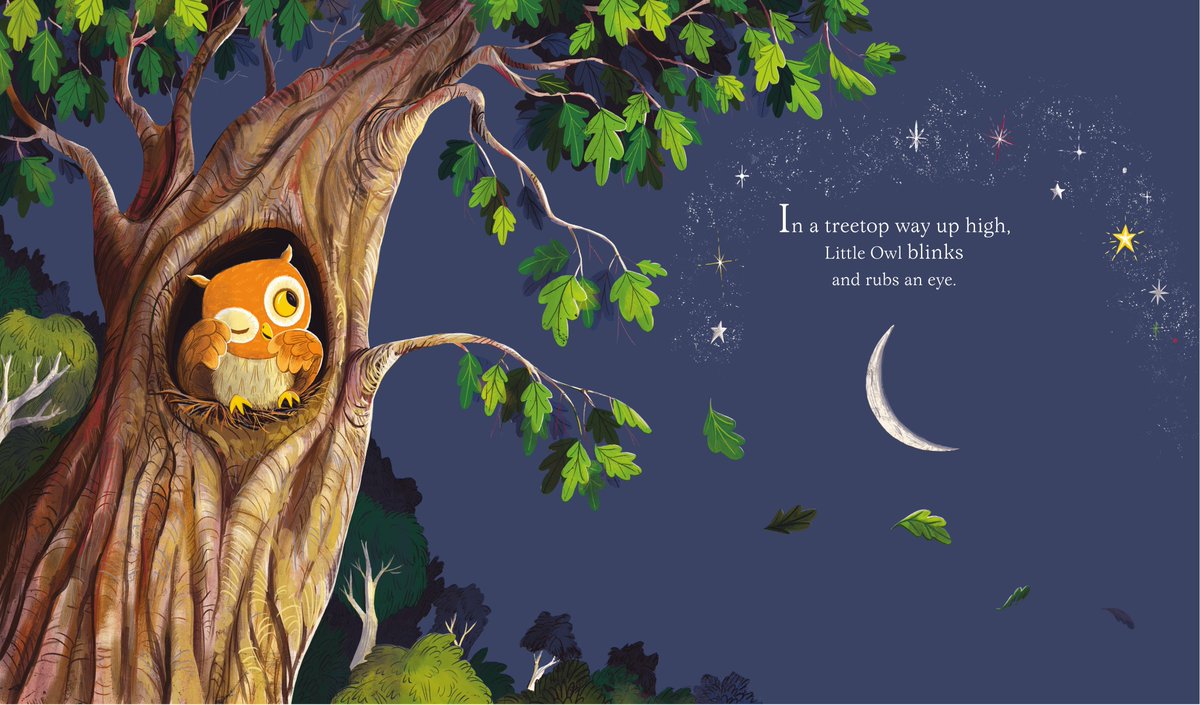 Karlwheel's tweet photo. @CBeebiesHQ @george_ezra 🌟This Friday 1st June, at 6:50pm, @george_ezra reads my story Here Comes the Sun on @CBeebiesHQ! To celebrate, I'm giving away a signed copy of the book. 🦉

Share this tweet to #WIN! (Comp. closes 1/6 at 6:50pm; then all eyes on George!) https://t.co/dYRHbpUNHE