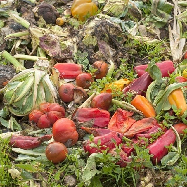 Food waste = waste of:

🥕 Food 
💧 Water
🌱 Land 
⚡️ Energy 
👩‍🌾 Labour 

When we waste food we waste so much more than what is just going in the bin. #foodwaste #ZeroHunger