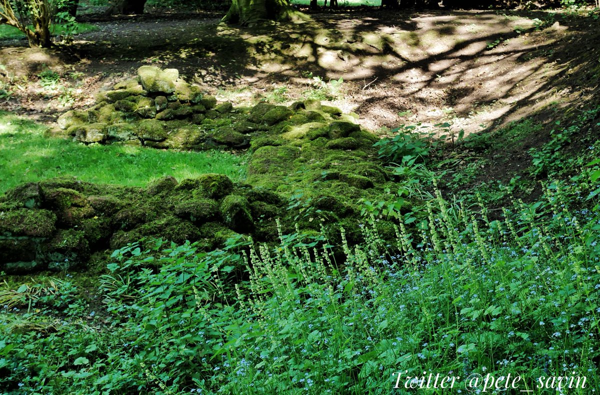 pete_savin's tweet photo. The moss covered town walls of #IsuriumBrigantum built late 2nd or early 3rd Cent #Aldborough #archaeology #RomanBritain #Yorkshire #DereSt https://t.co/roDtCnPWPZ
