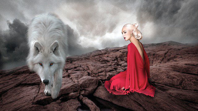 Melodic PowerMetal (@melodicplaylist) on Twitter photo 