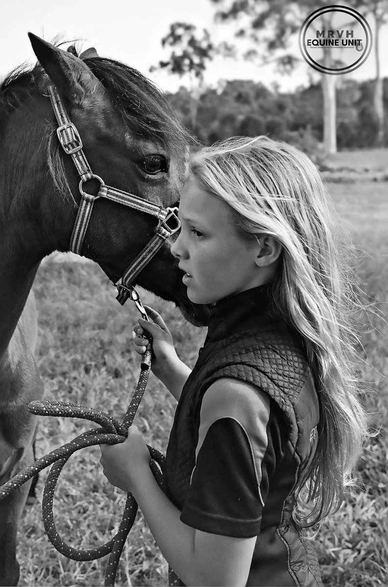 manlyroadvet's tweet photo. A girl and her horse are unstoppable ❤️ 👇🐴 Izzy & Abby. #lovehorses #equineunit #manlyroadvet #veterinarylife https://t.co/B8XGZjuTRB