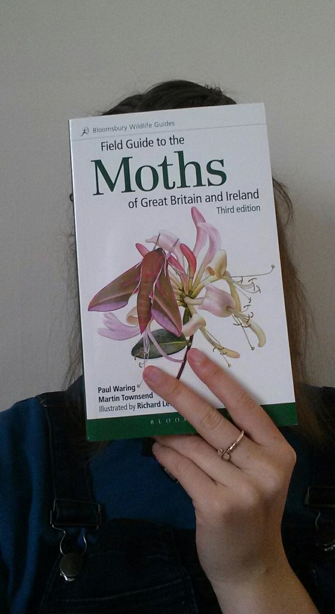 Katy Ivison tweet media