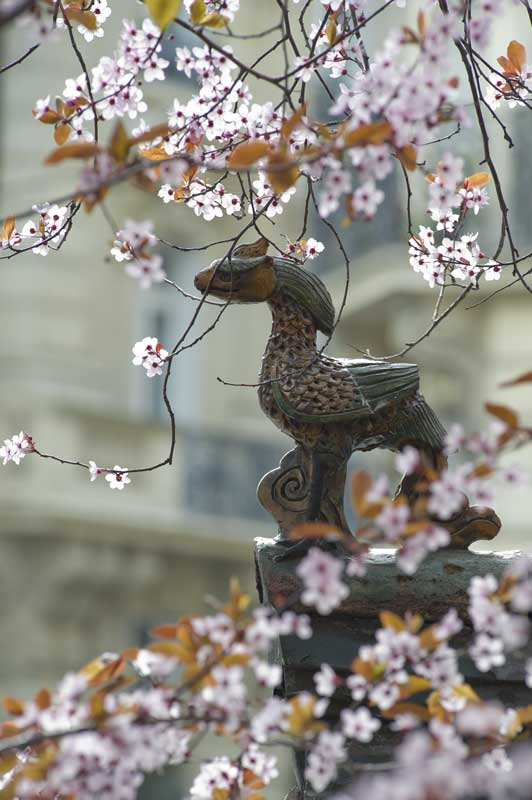 JakBran's tweet photo. China in Paris. Rue de Courcelles Pagoda. France, 2012
#CTLoo #MuséeCernuschi #ParcMonceau #Paris #Flowers ©JBrancati2018 https://t.co/rnB87SucIj