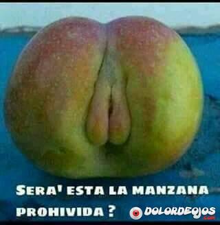 DolorDeOjosWeb's tweet photo. https://t.co/M7GCFtQdM4
La manzana no sé, pero tu  ...
+ en https://t.co/hnxOAnXieV
#DolorDeOjos #MalaOrtografía https://t.co/wRv5kZ1qSK