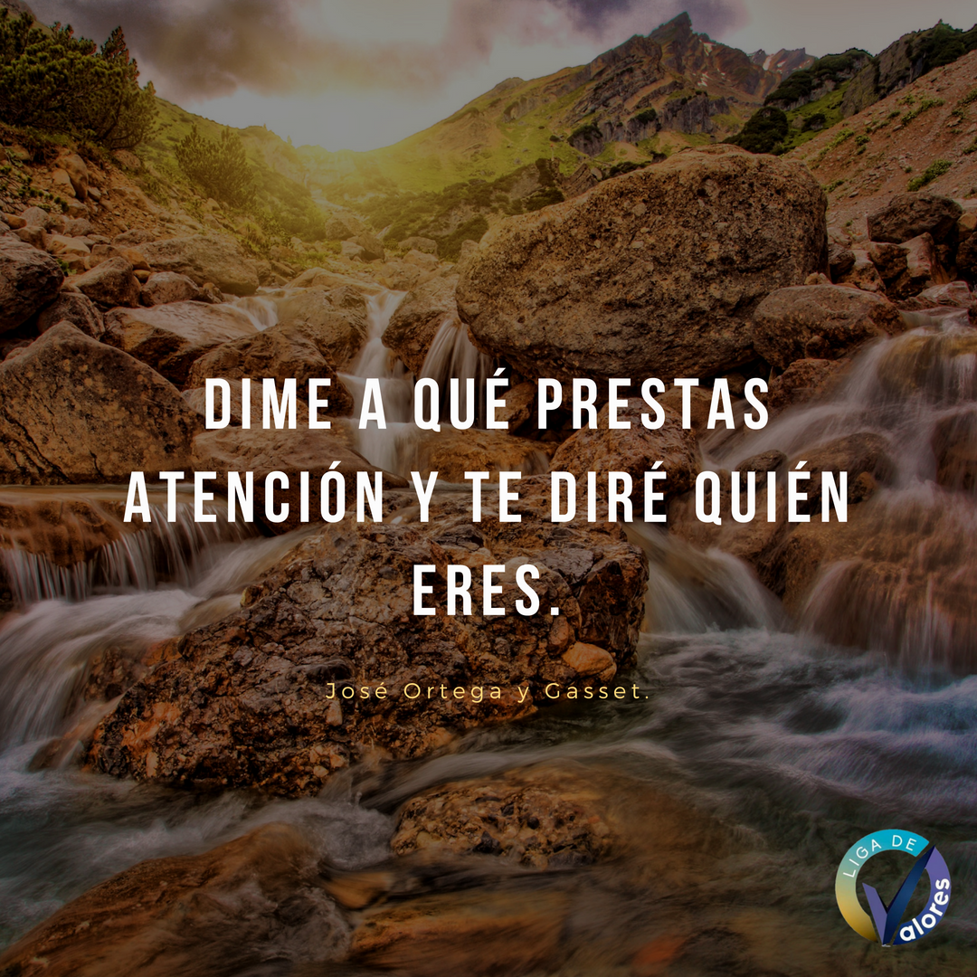LigaDeValoresEC's tweet photo. Dime a qué prestas atención y te diré quién eres.
-José Ortega y Gasset. #LIGADEVALORES https://t.co/RMHocMeMdK