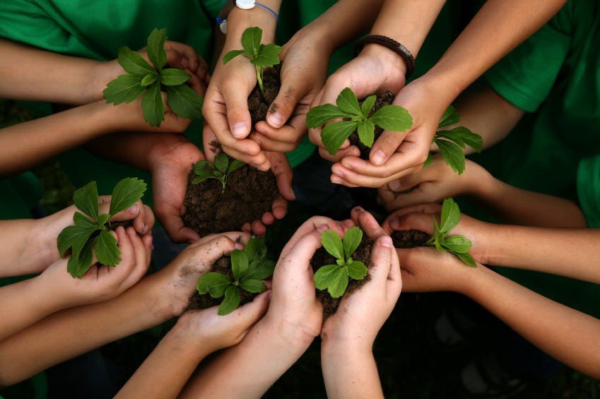 Worldwide Experience on Twitter "Make a difference, plant a TREE