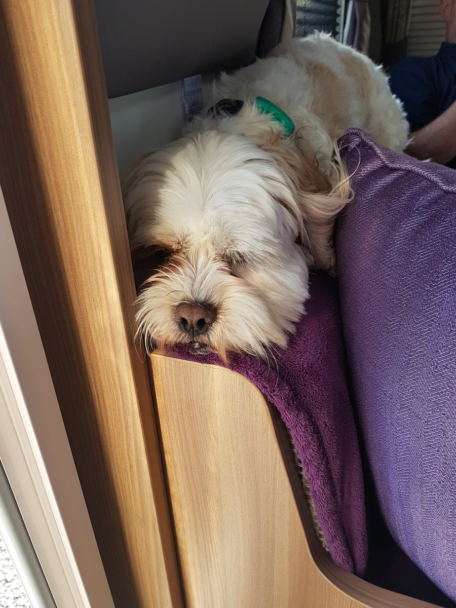 GizmoWatchdog's tweet photo. This caravanning malarkey is hard work #caravanning https://t.co/HWdvftly7f