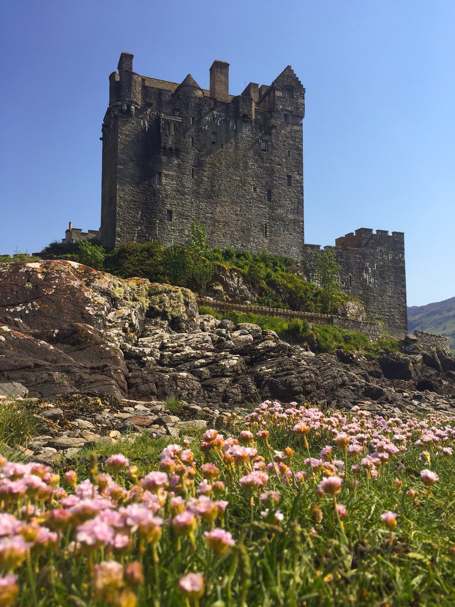 Seapinks swaying in the summer sun........
#Scotland