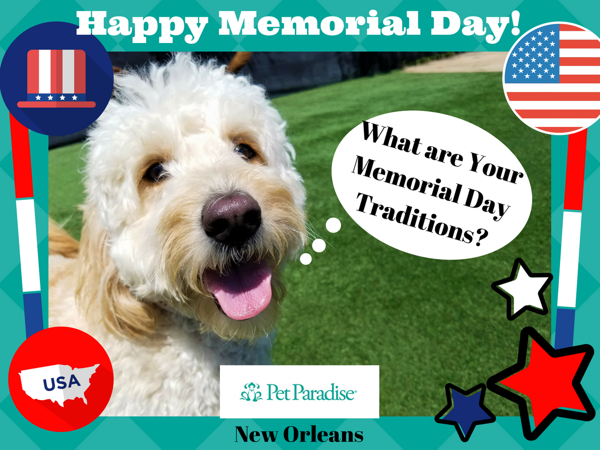 PPRNewOrleans's tweet photo. Happy Memorial day from #PetParadiseNewOrleans! Did you know that the day for honoring fallen US soldiers was originally called Decoration Day? What are your Memorial Day traditions? Phoenix is dying to know! #Memorialday2018 #NOLAtraditions #shareyourpics #usa #honorNOLA #love https://t.co/uC5HzBzhew