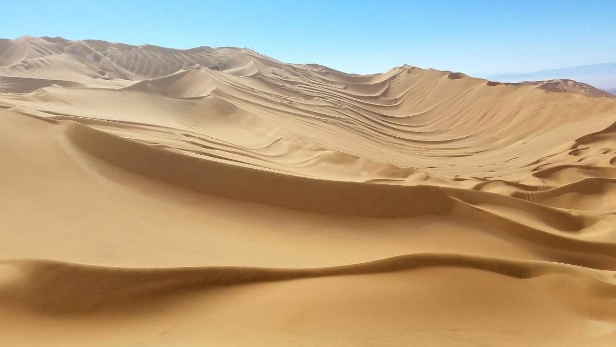 DAKAR RALLY tweet media