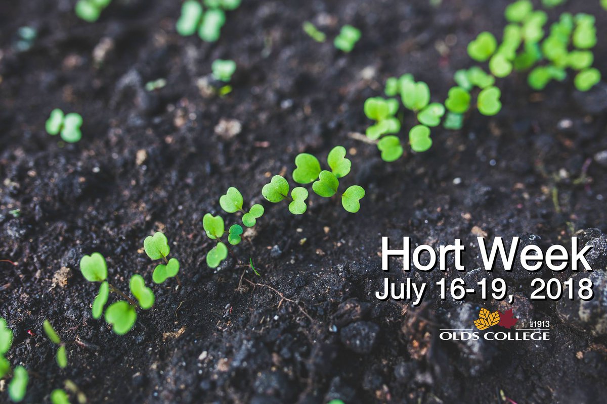 OldsCollege's tweet image. Have you been waiting for our annual #HortWeek ? Wait no more! 
We've got a week of workshops on topics like #horticulture, #gardening, #bugs, and more lined up. Registration is open!
goo.gl/WtT1Rp  

#Plant18 #spring #yyc #alberta #growyourown #flowers #trees