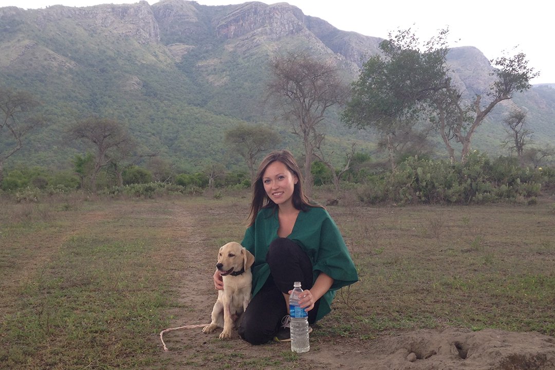 bellevue veterinary clinic