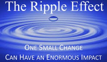 IMPACT 100 INDY (@impact100indy) on Twitter photo 