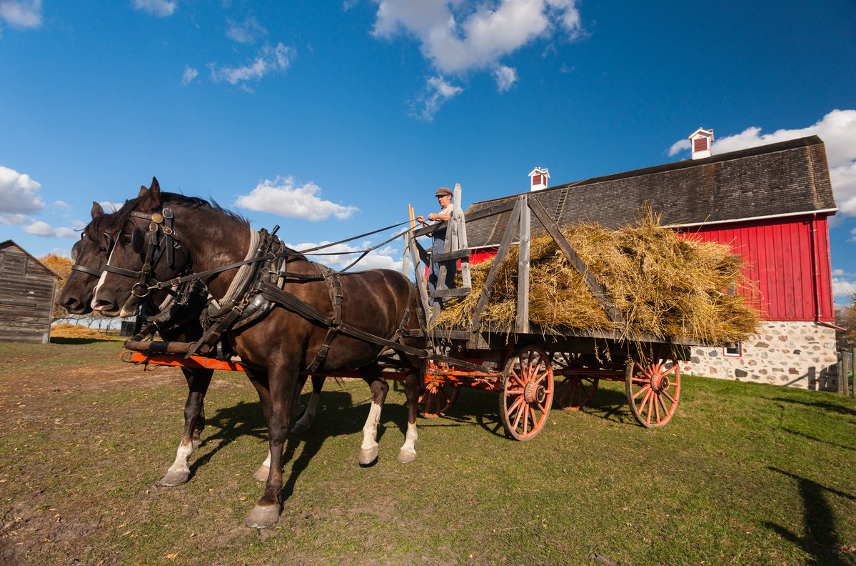 Motherwell Homestead in Saskatchewan depicts the lifestyles, costumes and architecture of the early 20th century. Take a ride on a wagon, check out the animals and travel back in time to the early 1900’s. ow.ly/BSSK30jMmy1