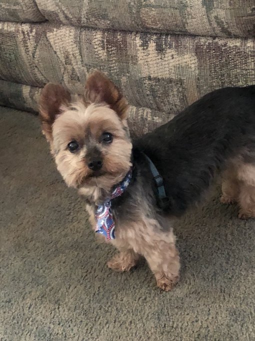 Watch Mom's leaked NSFW photo on TwXstars