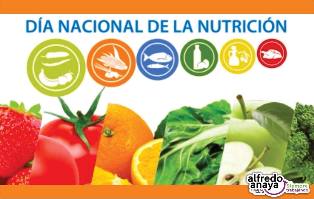 Que es una dieta equilibrada y una dieta suficiente