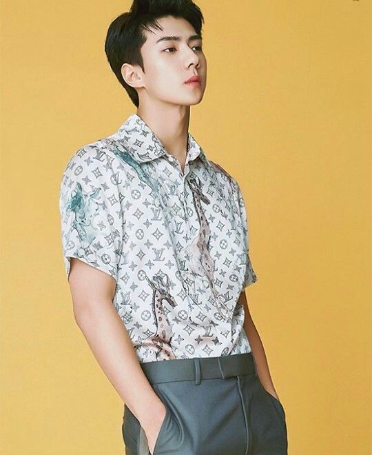 martabackkeju's tweet photo. 💣💣 #SEHUNxLV #LVCruise @weareoneEXO https://t.co/lY9ukaD4W3