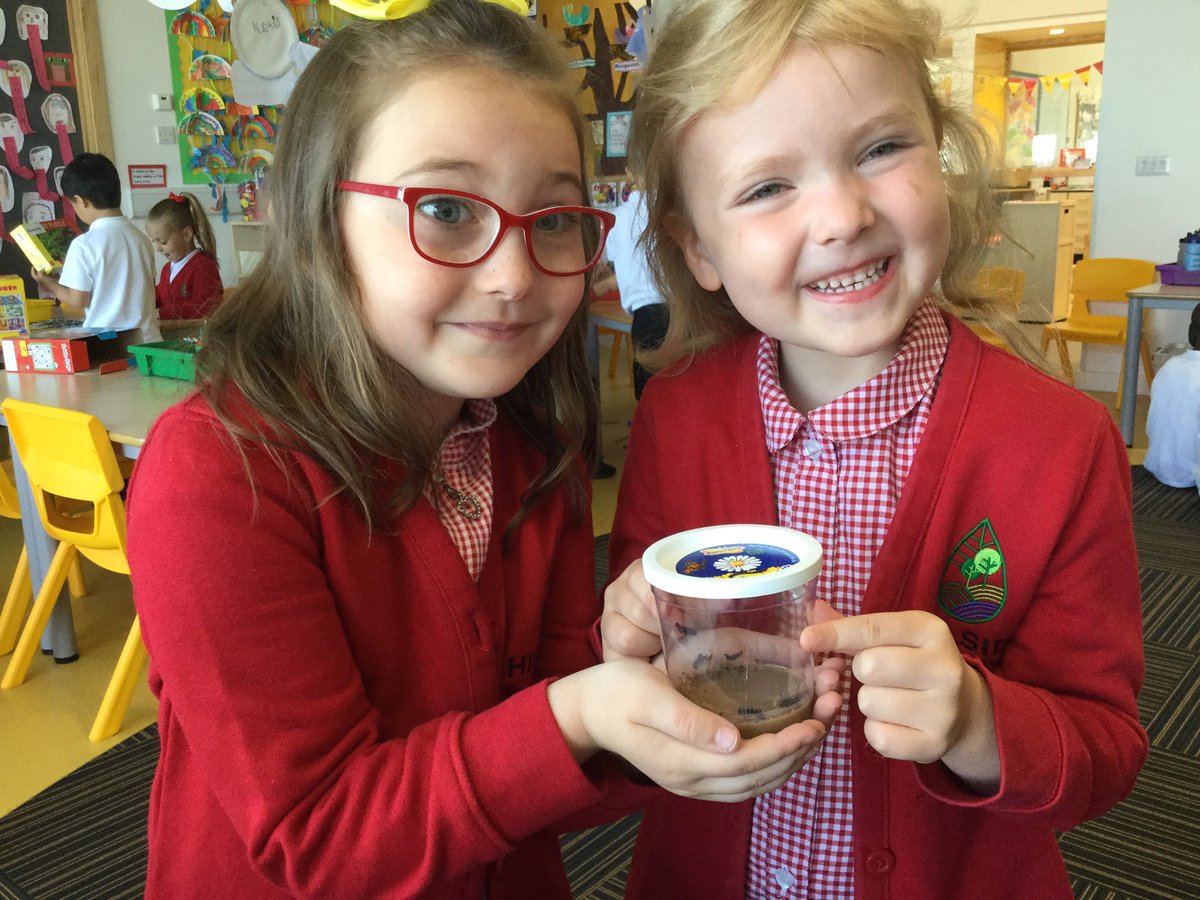 SchoolHillside1's tweet photo. Look how our caterpillars have grown during the weekend!  P1M. #wehavepets https://t.co/23oAgTVoUx
