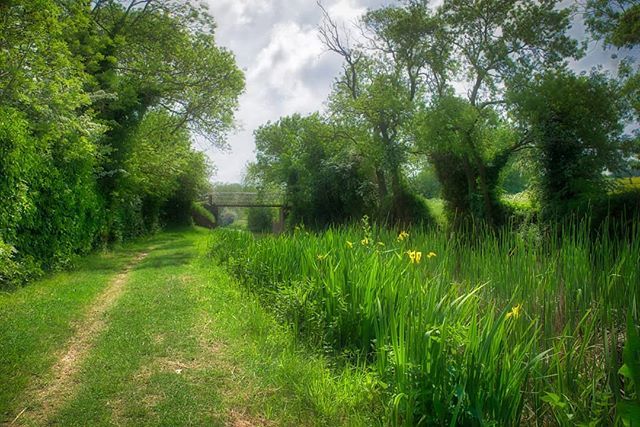 Canalside
#uklandscape #ukspring #canal #landscape #landscapephotography #landscapeuk #water #flickr #pentax #green ift.tt/2xjrnz4