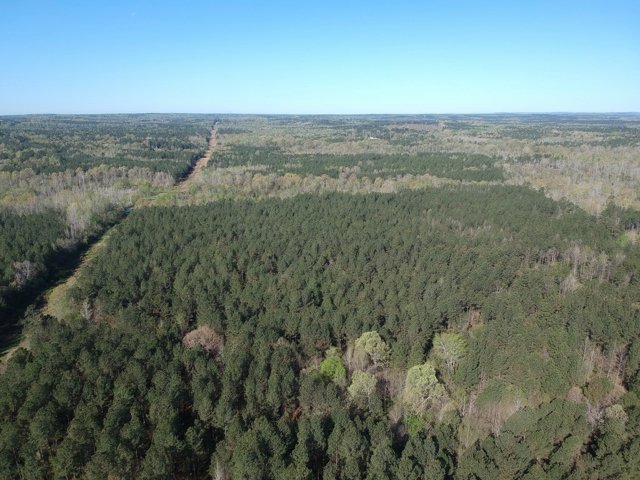 gkentmorris's tweet photo. Great #timber property with endless #reacreational opportunities in #TalbotCountyGA #land #hunting https://t.co/t0IAvdAydu https://t.co/mBAnOLfycR