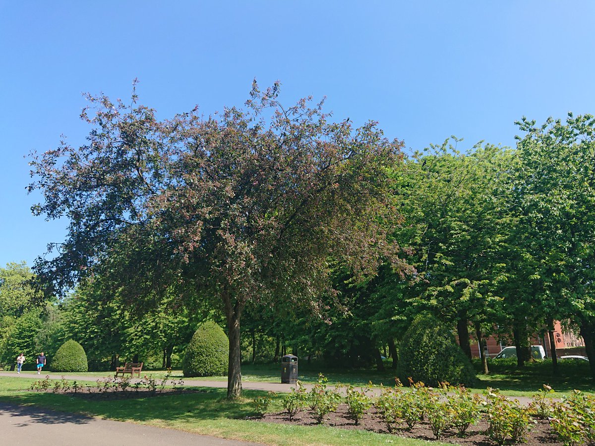 LornaFinn's tweet photo. Lunch time for team @Ivan_McKee spent in one of the constituencies lovley green spaces. #GlasgowProvan #AllyPark https://t.co/kVZZgHd4xs