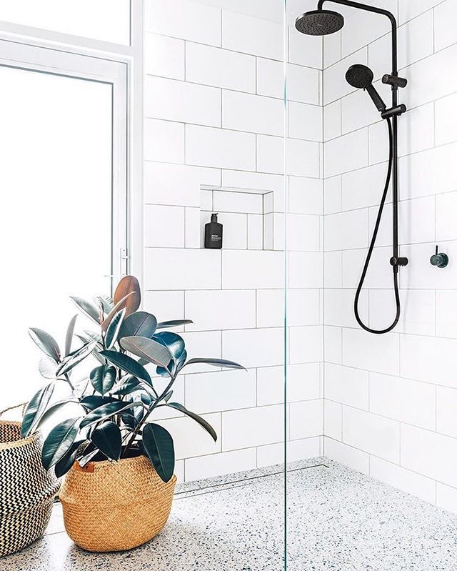 clearmeskin's tweet photo. Anyone else have a serious plant thing going on right now?! We love nature, and especially ALL things natural - just like our mask 💙 So *naturally* this is what we call bathroom goals 😏 https://t.co/KkR1fQnO6B #clearmeskin https://t.co/b4FdeKKoyi https://t.co/Vyvusf0Lkw