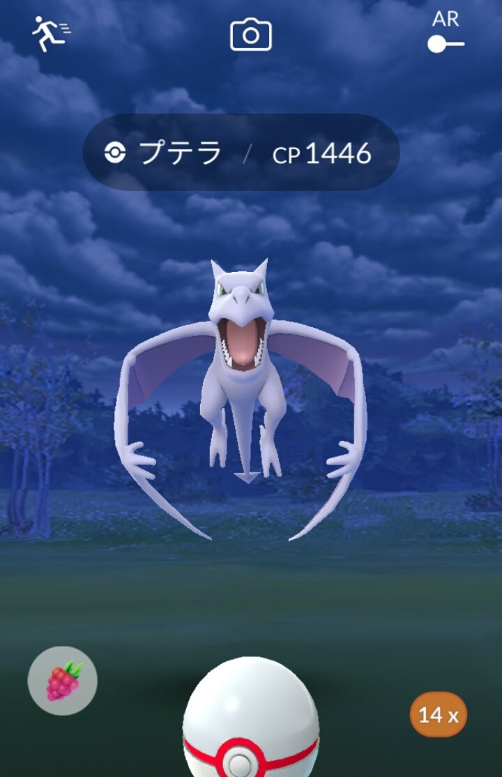 かっちゃん ８ ８gofest横浜 レイドバトルで倒した プテラ ｃｐ１４４６ を プレミアボールとパイルのみを３個ずつ使ってゲットしました レイドレベル３で ふしぎなアメ ４ はおいしい スポンサージム以外で残り時間５分でも プテラレイドに来る