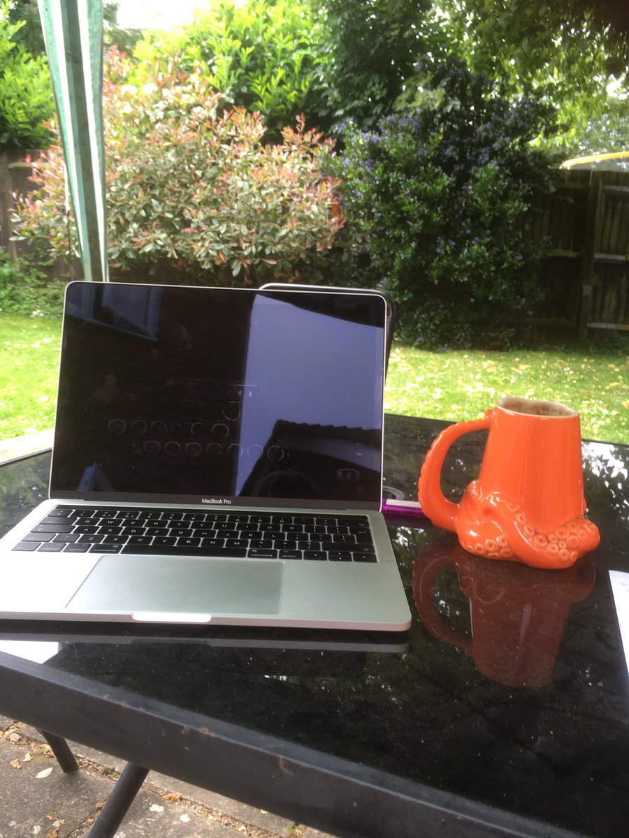g1llh1ll's tweet photo. It’s a bank holiday but @UniOfBuckingham we work on these to make sure we fit in all the teaching we do for our #TwoYearDegree - that said I’ve no classes today so enjoying marking my Animal Behaviour students research posters in the garden. https://t.co/QNKVBxyKXk