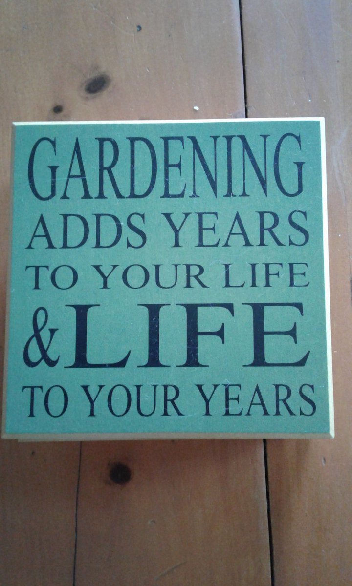 #gardening #planting #selfcare <a href="/gottogetoutof/">Unforgiven Warrior I became Stewart Thompson I am.</a>