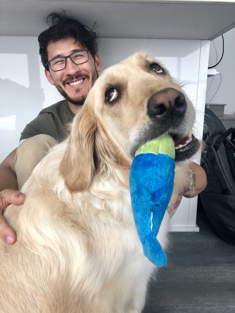 Picking up Beeps today! In case you forgot what she looks like, here’s a picture for reference.