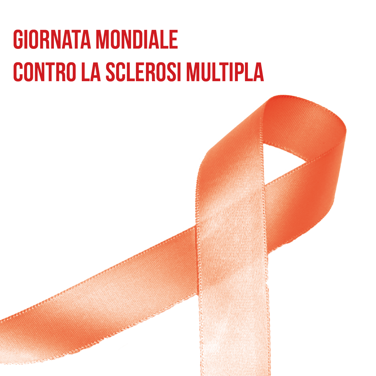 MelogranoMutua's tweet photo. Oggi è la giornata mondiale contro la Sclerosi Multipla #sclerosimultipla#worlday #giornatamondiale #ricerca https://t.co/WJ1Gma9QVO