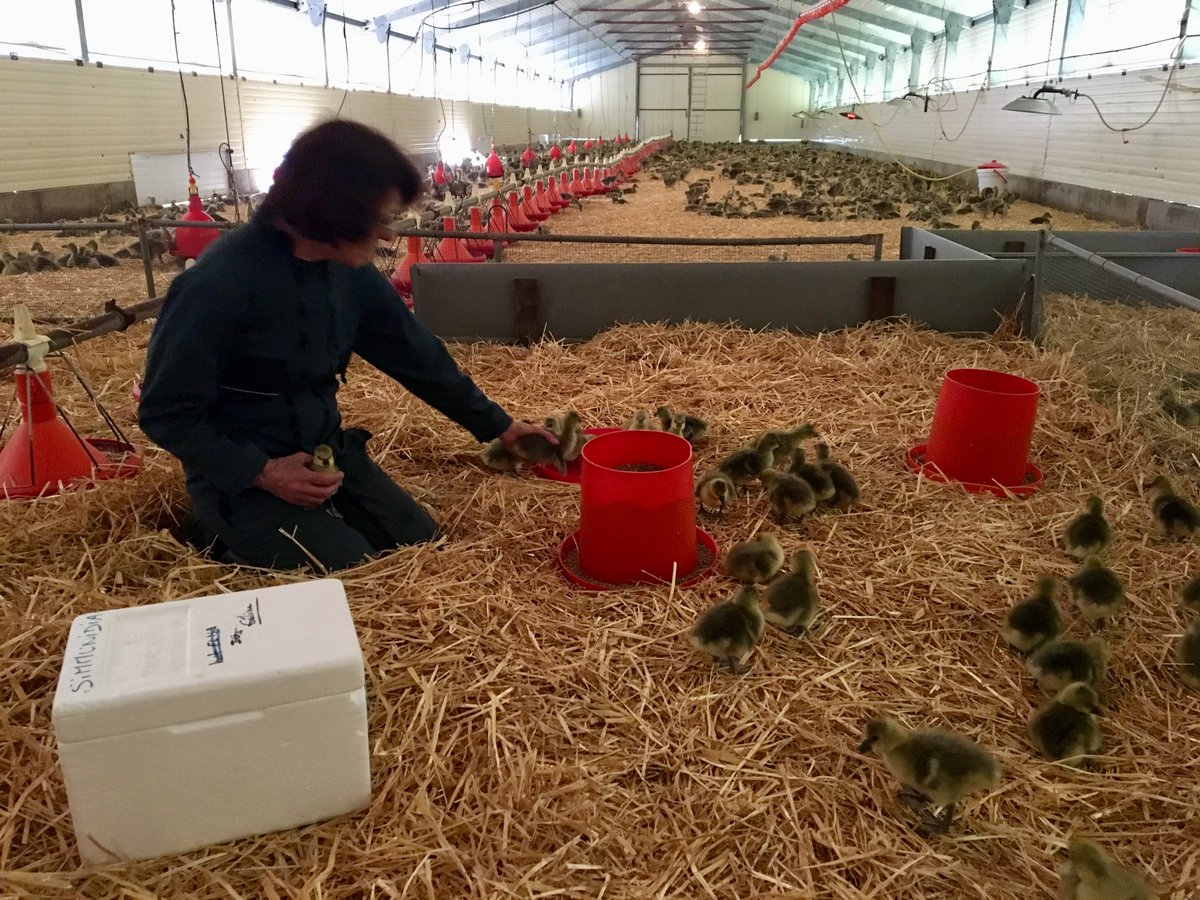 Nous venons de dépasser les 300k€ avec 510 souscripteurs sur #Wiseed.  Il est encore temps de participer à la #levée et nous sollicitons toute votre mobilisation (déjà importante) pour ces derniers jours de collecte. C'est ici==> bit.ly/2BtlT5   #Aviwell