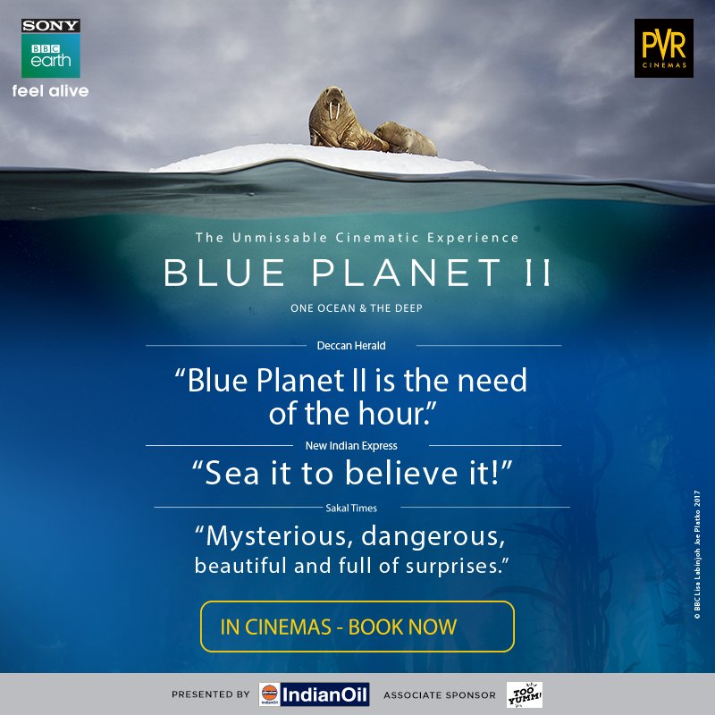 SonyBBCEarth's tweet photo. Blue Planet II has been acclaimed by critics and audiences alike.
A breathtaking ride from the start to finish, it is a spellbinding experience to watch #BluePlanet2AtPVR on the big screen.
Book your tickets here.
https://t.co/YZHnbcjdXN https://t.co/uU1kEqJnkq