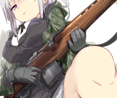 イカロス出版さんから今日発売の"ガン&amp;ガール イラストレイテッド 第二次大戦連合国編"にトカレフSVT40のイラストを描かせてもらいました!https://t.co/txFrkyjZTu 