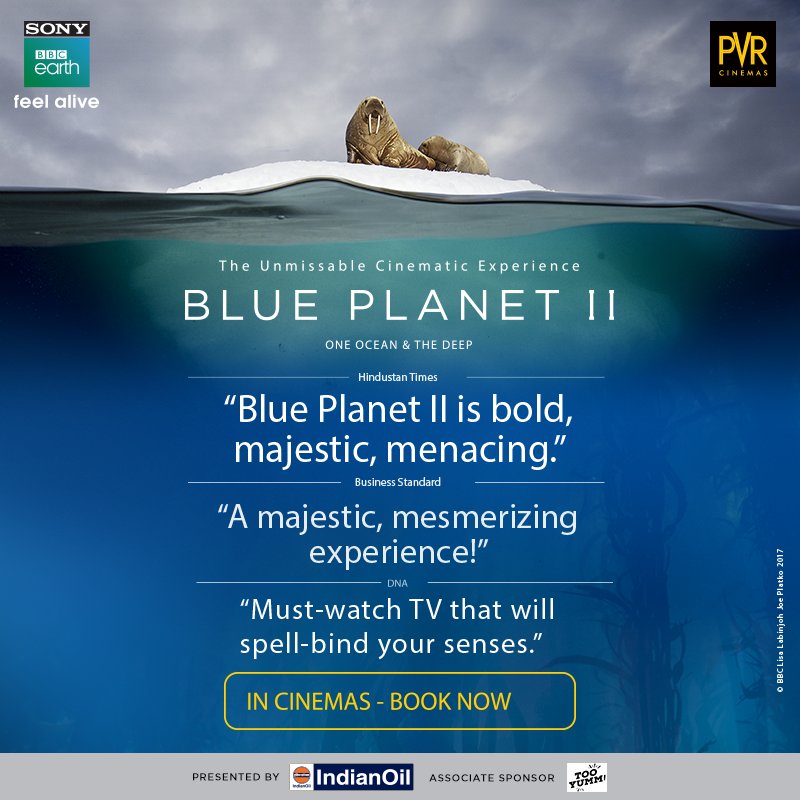 SonyBBCEarth's tweet photo. Blue Planet II has been acclaimed by critics and audiences alike.
A breathtaking ride from the start to finish, it is a spellbinding experience to watch #BluePlanet2AtPVR on the big screen.
Book your tickets here.
https://t.co/YZHnbcjdXN https://t.co/uU1kEqJnkq
