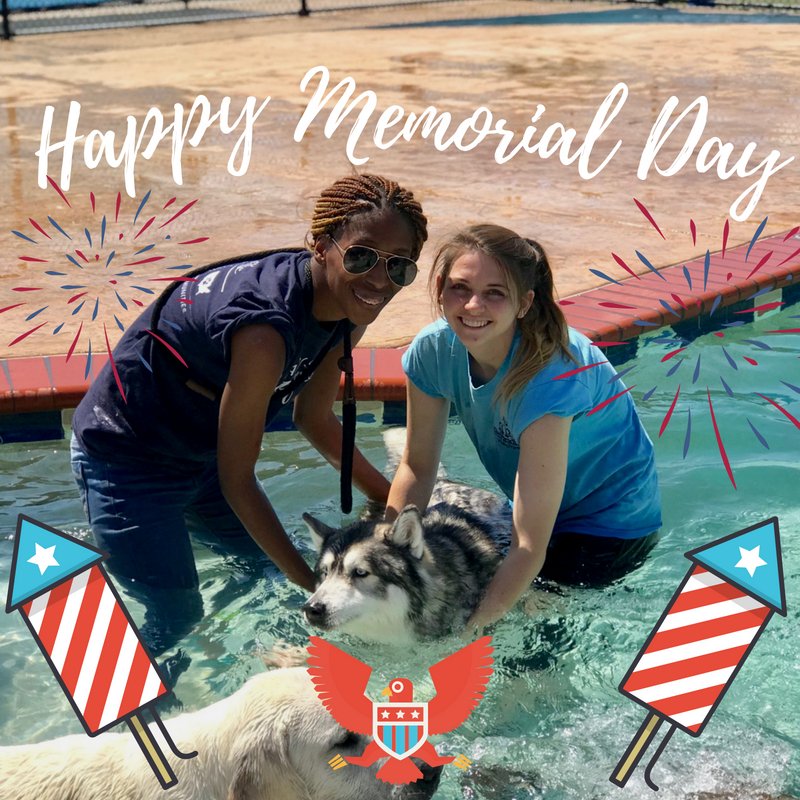 PPRCuster's tweet image. Happy Memorial Day from our Family to yours! We hope you are all enjoying the sunshine all thanks to those who served our country! 🐶☺️🐾🇺🇸🎇 #MemorialDay #petresort