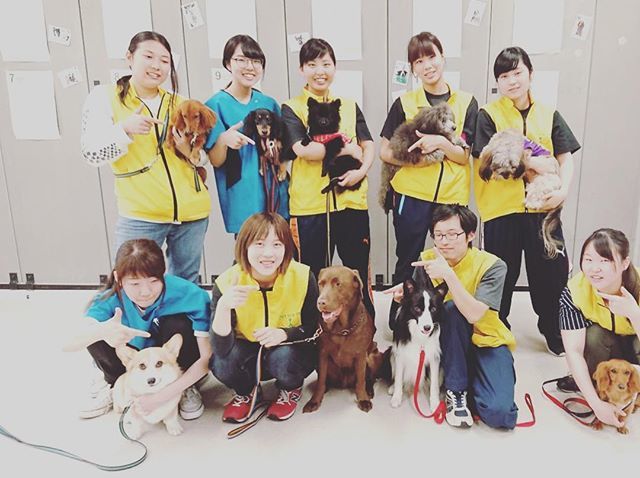 神戸ブレーメン動物専門学校 今日のワンコ パインちゃんまた来てね トレーニング 神戸ブレーメン いぬすたぐらむ Dogstagram 神戸 ブレーメン 動物 専門学校 モデル犬募集中 T Co Vccyc8ejwr