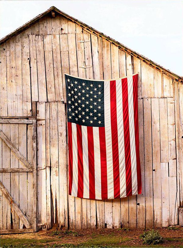 illinifs_seed's tweet photo. Today we honor all those who served. Thank you 🇺🇸 https://t.co/ztcFC6Jo7F