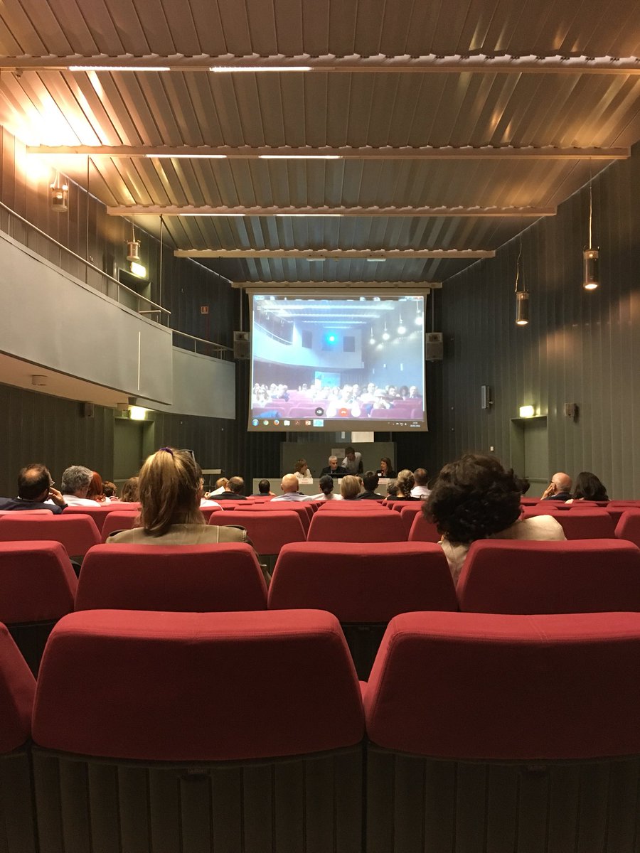 PICHJPI's tweet photo. A very serious Skype session with @esciacchitano  Talking about the importance of #heritage #jpi https://t.co/niAuaSCCoX