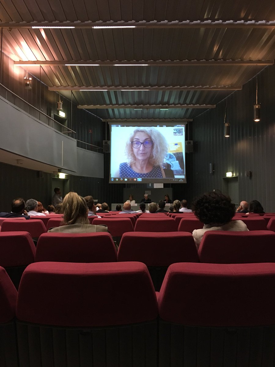 PICHJPI's tweet photo. A very serious Skype session with @esciacchitano  Talking about the importance of #heritage #jpi https://t.co/niAuaSCCoX