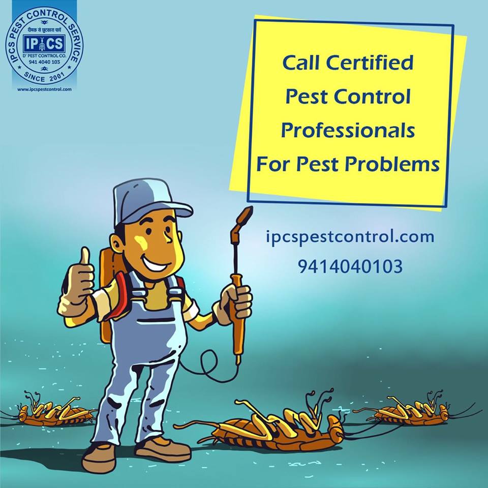 IPCSPest's tweet image. Call #Certified Pest Control Professionals For All Kind Of #Pest_Problems

#Termite_Treatment_in_Jaipur
#PestControlServiceInJaipur#BedBugsTreatmemtInJaipur#IPCSPestControlService