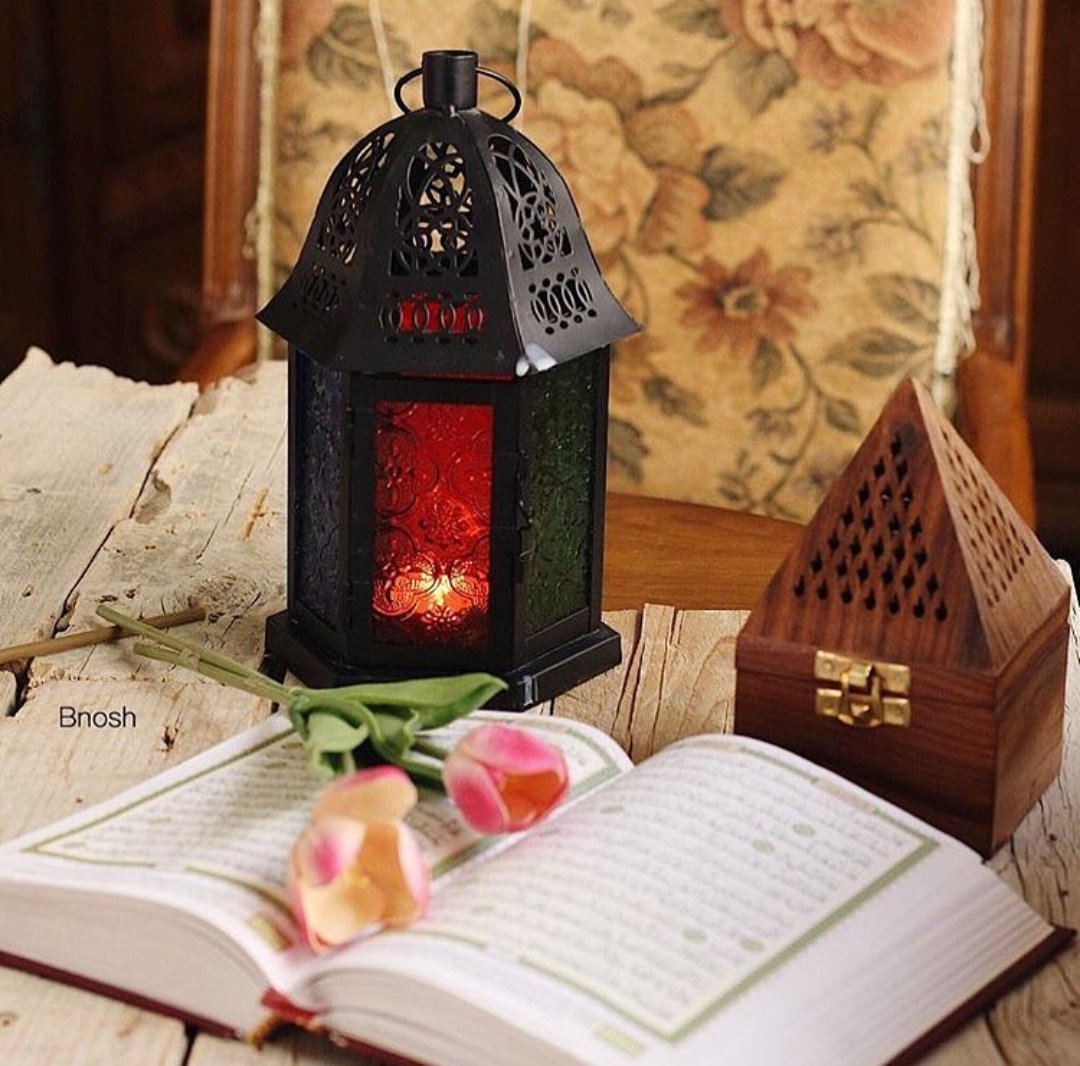 عائشة الشيزاوي | 🕊 tweet media