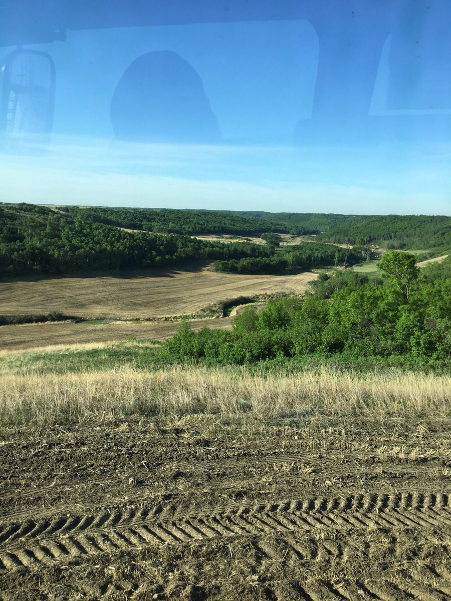 DDouhaniuk's tweet photo. The end is near! Planting my favourite field with some good views today. #plant18 #canola https://t.co/UiarFhnsdA