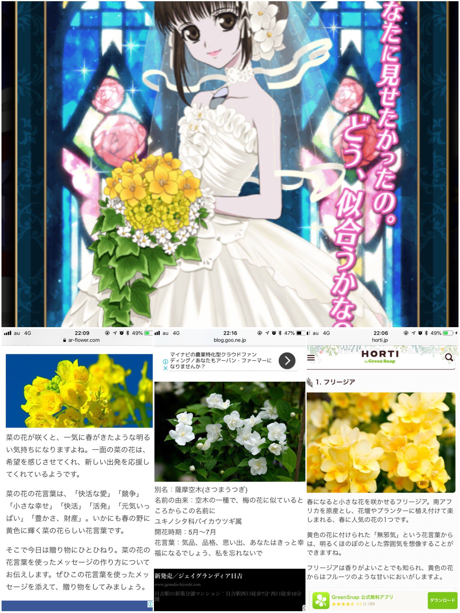 リアラちゃんのブーケの花言葉 無邪気 小さな幸せ 私を忘れないで うっカイル 違うものがあったらごめんなさい T Co Zu5hqlmxc0 Twitter