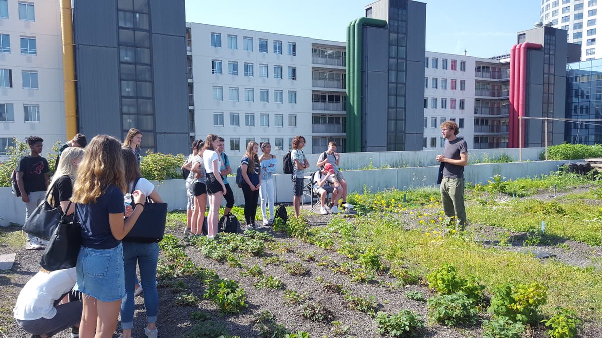 hhsenk's tweet image. "We richten de stad in als spons." Vwo2-leerlingen @EmmausRotterdam ontdekken tijdens #geoweek excursie in @rotterdam hoe we het water bij hevige regenval vasthouden om de #riolering te ontlasten. #waterberging #groen @Geo_Week