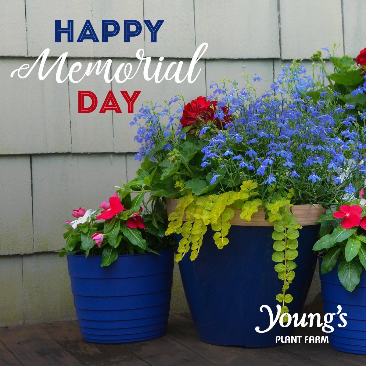 In memory of many, in honor of all, Happy #MemorialDay from #YoungsPlantFarm. Thank you to our armed forces and their families for your service.