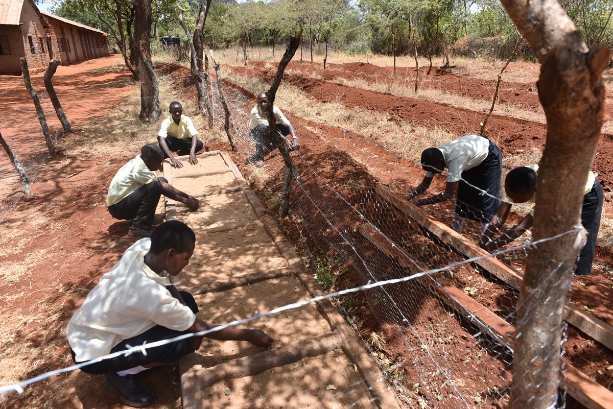 conservtz's tweet photo. The journey of @conservtz rainwater harvesting project in Muangeni Secondary school in Kenya. Educating future environmental stewards how to take care of the environment. A Bean garden and a tree farm all managed by the school children. Thank you @KEEN https://t.co/A07y0RMGFJ