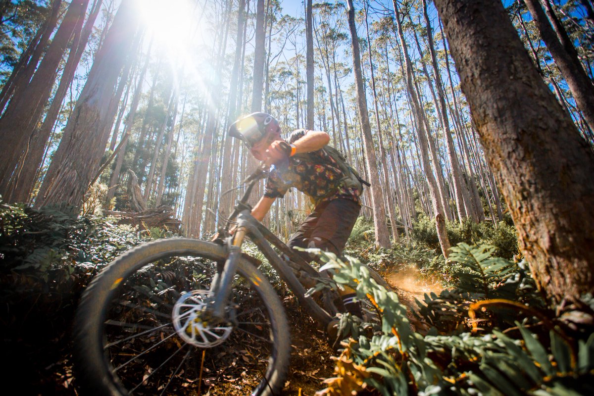 Canyon Bicycles (@canyon_bikes) on Twitter photo "The #CanyonTorque has confidence in spades, and with that confidence, we began to properly let the brakes off and follow the faster riders in front." - <a href="/flow_mtb/">Flow Mountain Bike</a> po.st/FlowTorque "The #CanyonTorque has confidence in spades, and with that confidence, we began to properly let the brakes off and follow the faster riders in front." - <a href="/flow_mtb/">Flow Mountain Bike</a> po.st/FlowTorque
