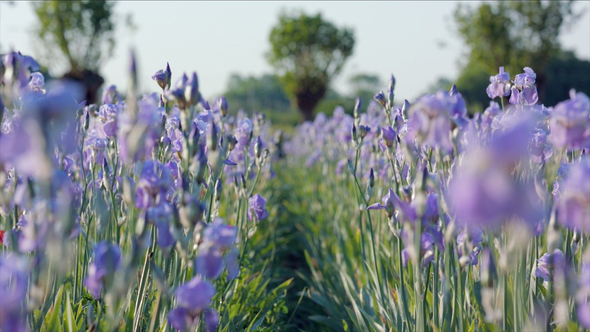 I HEART MAGAZINE tweet media